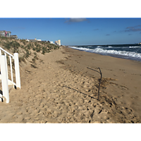 Day after the king tide Virginia Beach image